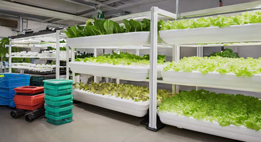 Top Hydroponics Providers Near Your Location