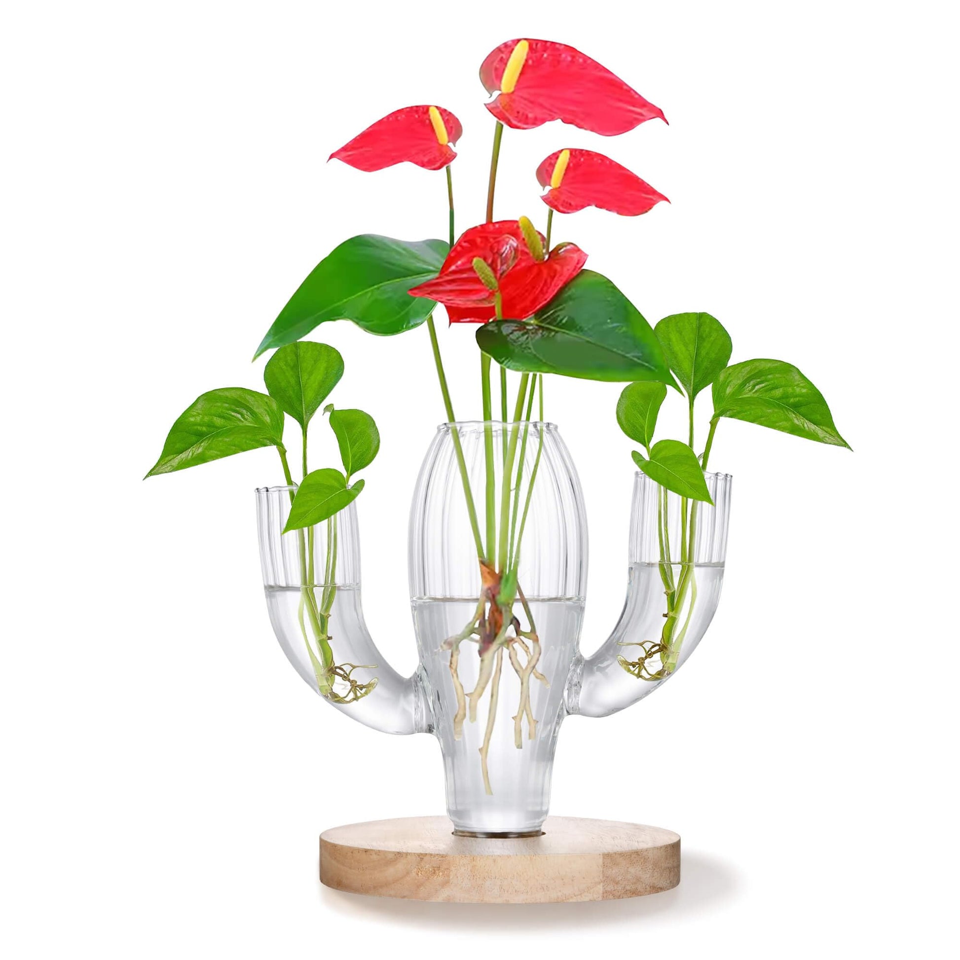 SuJolly Plant Propagation Stations, Unique Cactus-Shaped Plant Propagating Vase, 3 Independent Areas for Various Plants, Gardening & Housewarming Gifts for Plant Lovers, Home or Office Decor - Plantonio