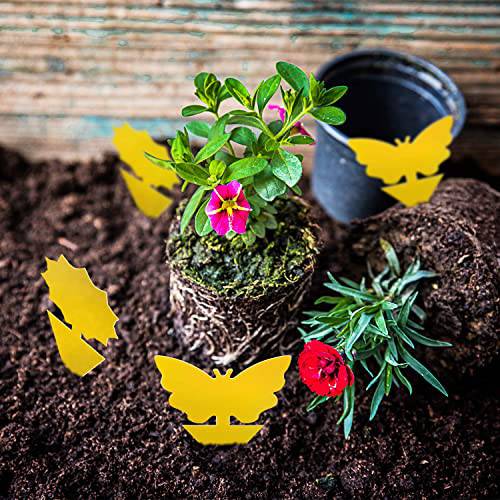 Fruit Fly Traps Fungus Gnat Traps Yellow Sticky Bug Traps 36 Pack Non-Toxic and Odorless for Indoor Outdoor Use Protect The Plant - Plantonio