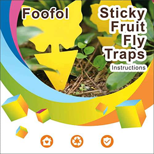 Fruit Fly Traps Fungus Gnat Traps Yellow Sticky Bug Traps 36 Pack Non-Toxic and Odorless for Indoor Outdoor Use Protect The Plant - Plantonio