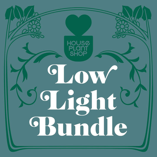 Low Light Bundle - Plantonio