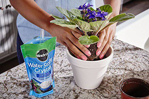 Miracle-Gro Water Storing Crystals, Helps Prevent Over and Underwatering in Outdoor and Indoor Plants, 12 oz. - Plantonio